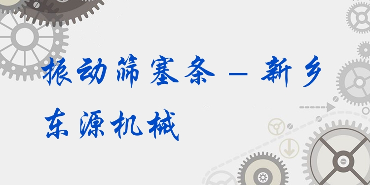 振動(dòng)篩塞條 - 新鄉(xiāng)東源機(jī)械