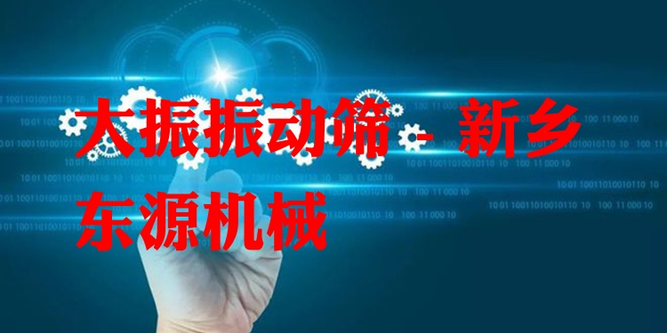 大振振動篩 - 新鄉(xiāng)東源機械