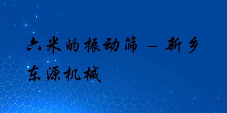 六米的振動(dòng)篩 - 新鄉(xiāng)東源機(jī)械