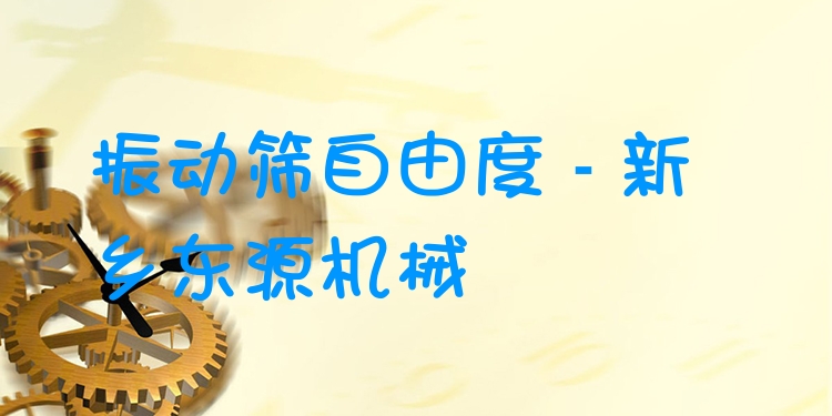 振動(dòng)篩自由度 - 新鄉(xiāng)東源機(jī)械