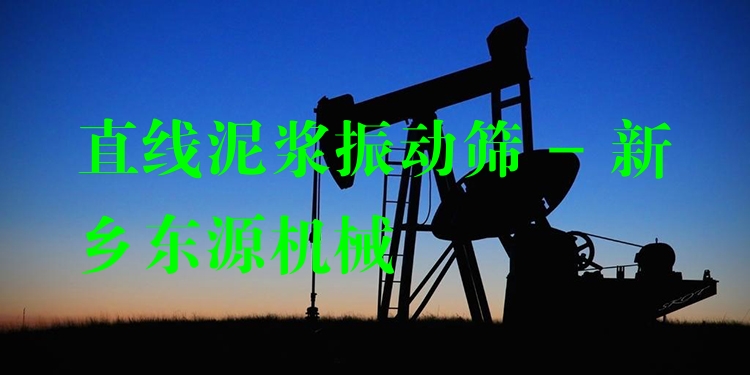 直線泥漿振動篩 - 新鄉(xiāng)東源機械