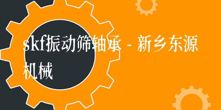 skf振動篩軸承 - 新鄉(xiāng)東源機(jī)械