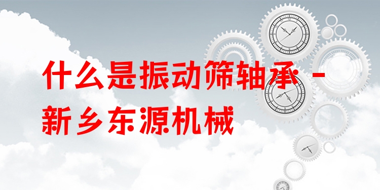 什么是振動篩軸承 - 新鄉(xiāng)東源機械