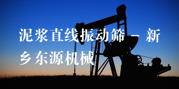 泥漿直線振動(dòng)篩 - 新鄉(xiāng)東源機(jī)械