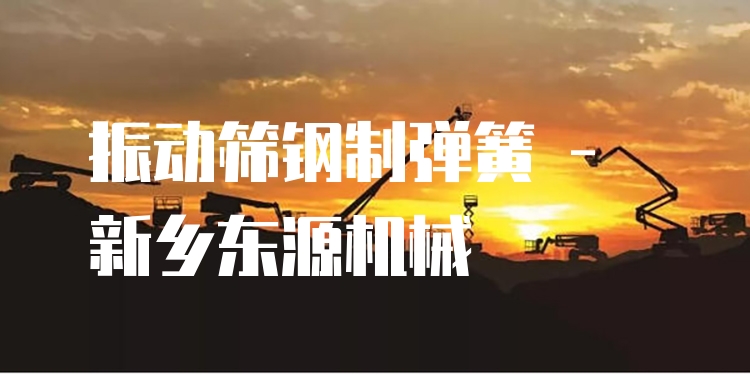 振動(dòng)篩鋼制彈簧 - 新鄉(xiāng)東源機(jī)械