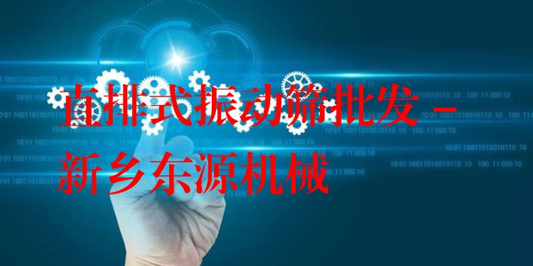 直排式振動(dòng)篩批發(fā) - 新鄉(xiāng)東源機(jī)械