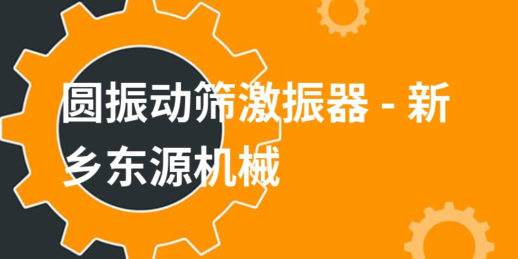 圓振動(dòng)篩激振器 - 新鄉(xiāng)東源機(jī)械