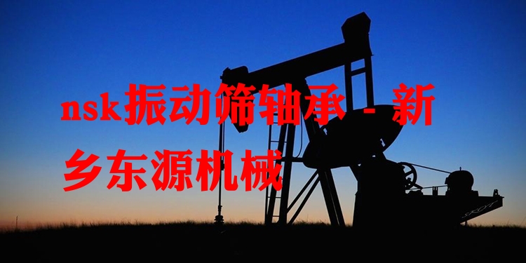 nsk振動(dòng)篩軸承 - 新鄉(xiāng)東源機(jī)械