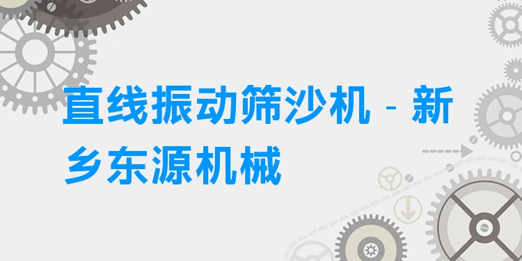 直線振動(dòng)篩沙機(jī) - 新鄉(xiāng)東源機(jī)械