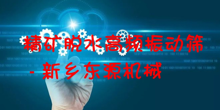 精礦脫水高頻振動(dòng)篩 - 新鄉(xiāng)東源機(jī)械