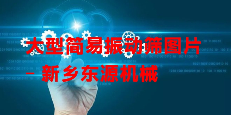大型簡(jiǎn)易振動(dòng)篩圖片 - 新鄉(xiāng)東源機(jī)械