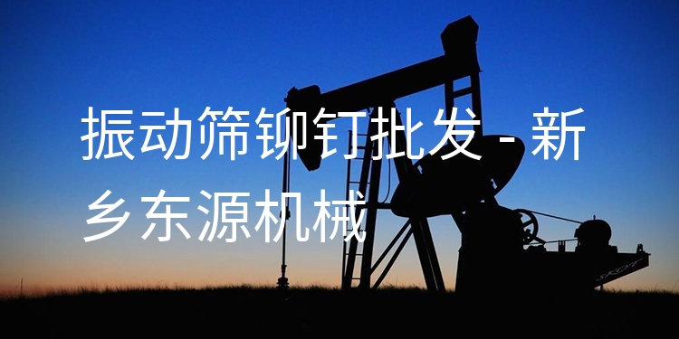 振動篩鉚釘批發(fā) - 新鄉(xiāng)東源機(jī)械