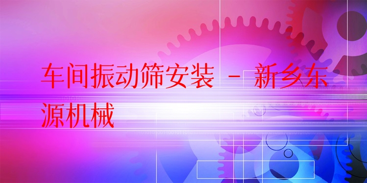 車(chē)間振動(dòng)篩安裝 - 新鄉(xiāng)東源機(jī)械