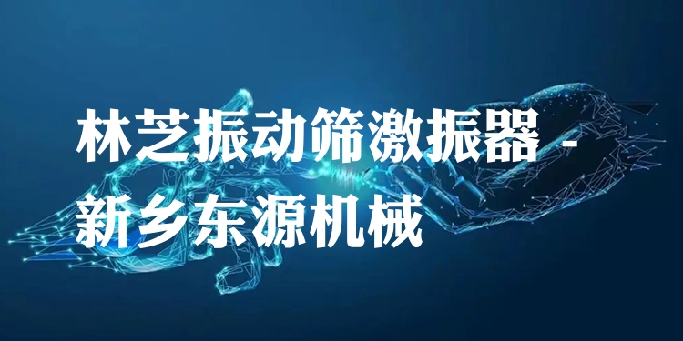 林芝振動(dòng)篩激振器 - 新鄉(xiāng)東源機(jī)械