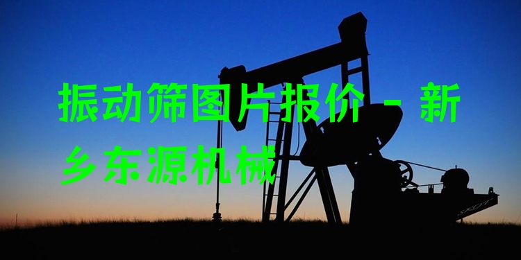 振動篩圖片報價 - 新鄉(xiāng)東源機(jī)械